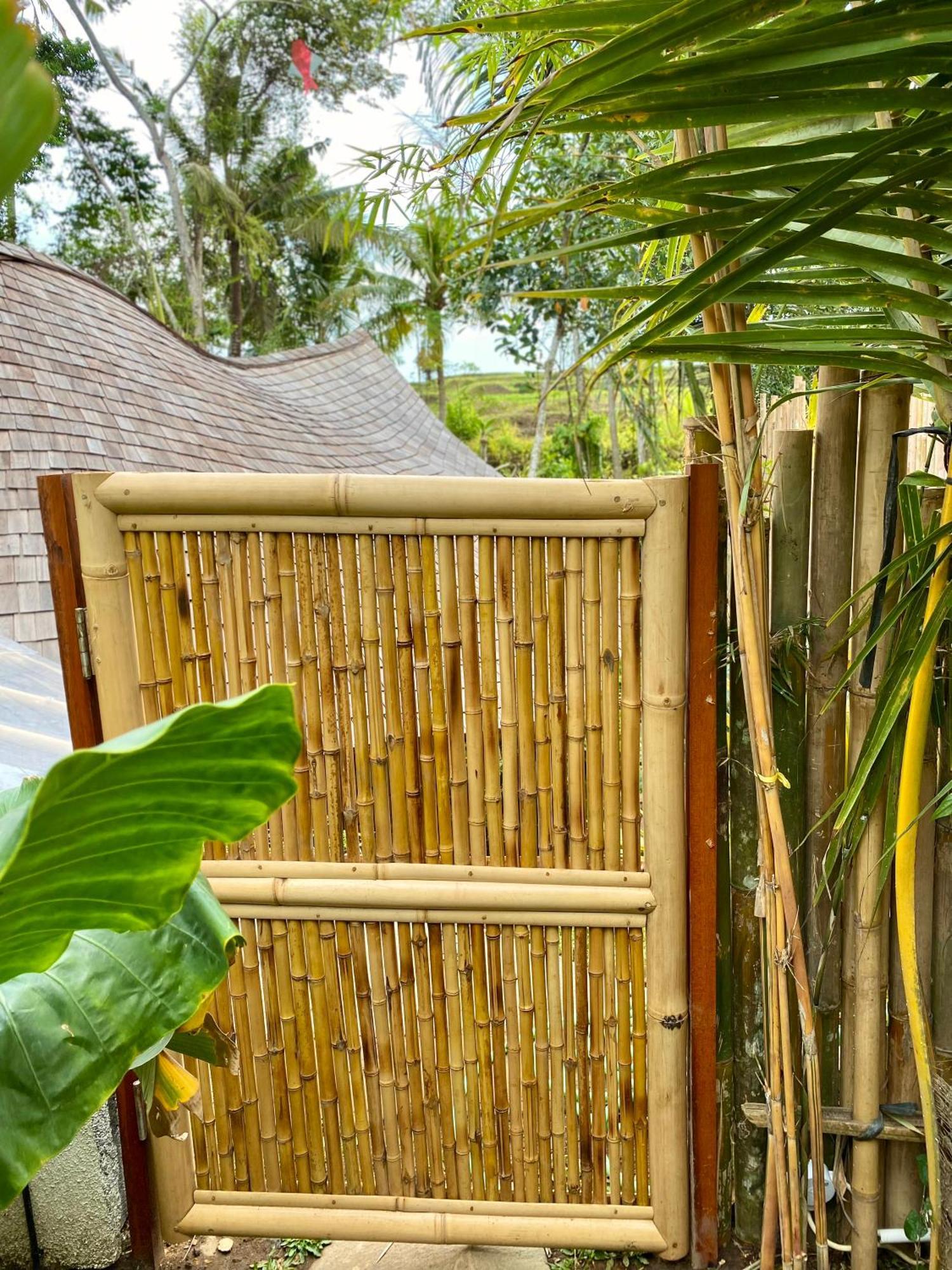 Wahem Eco Bamboo Tapak perkhemahan *