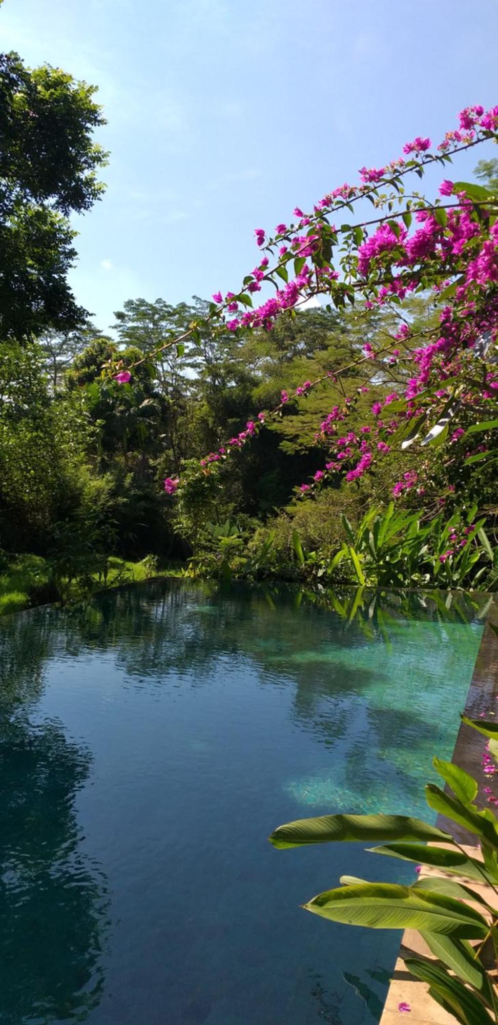 Sebali Villa Ubud (Bali)