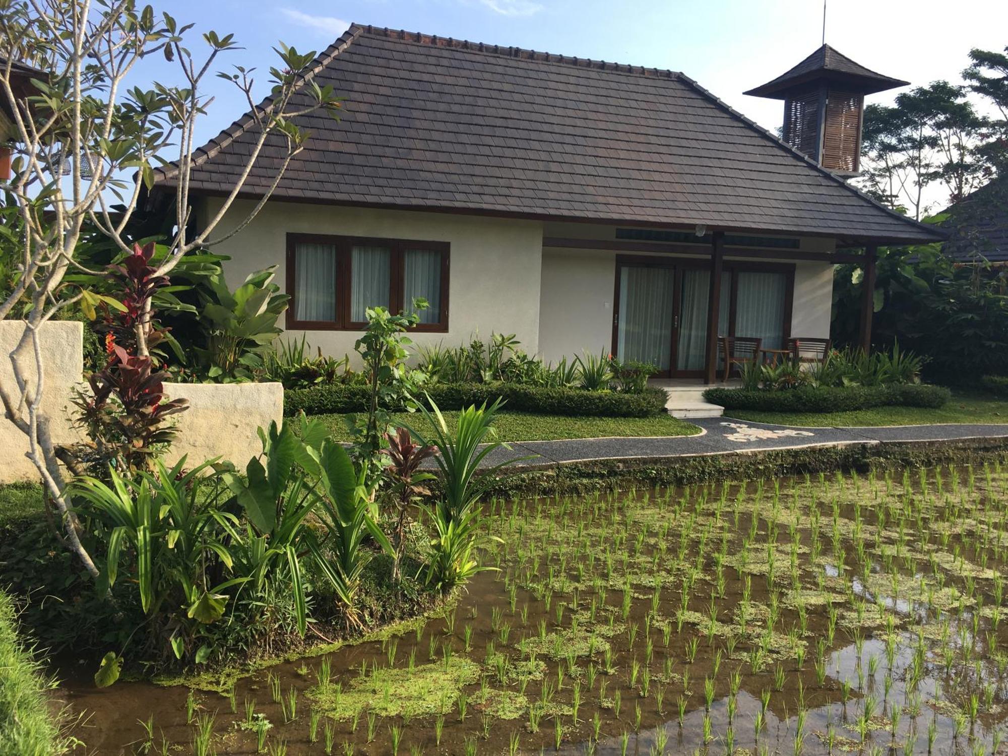 Puri Raya Ubud (Bali)