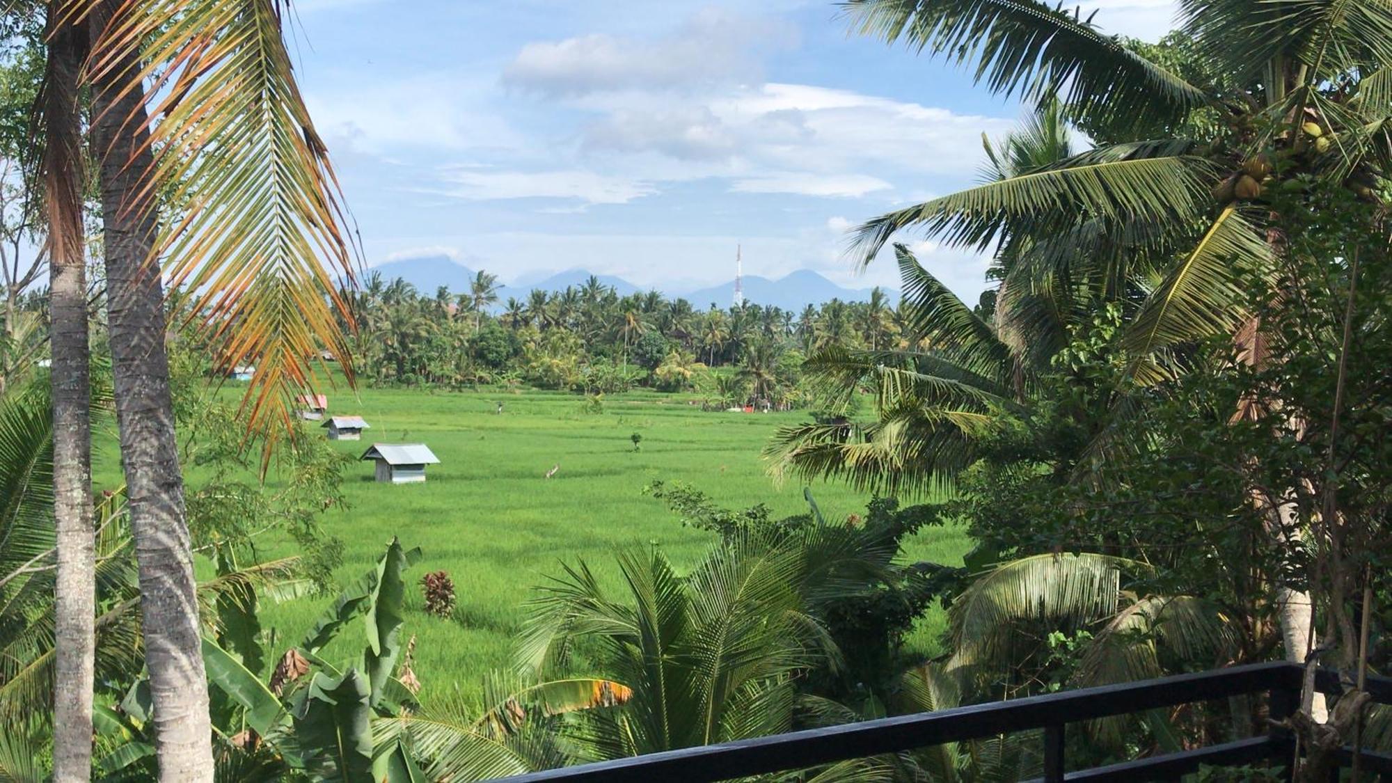 Villa The Shea Tranquility With Private Pool Ubud