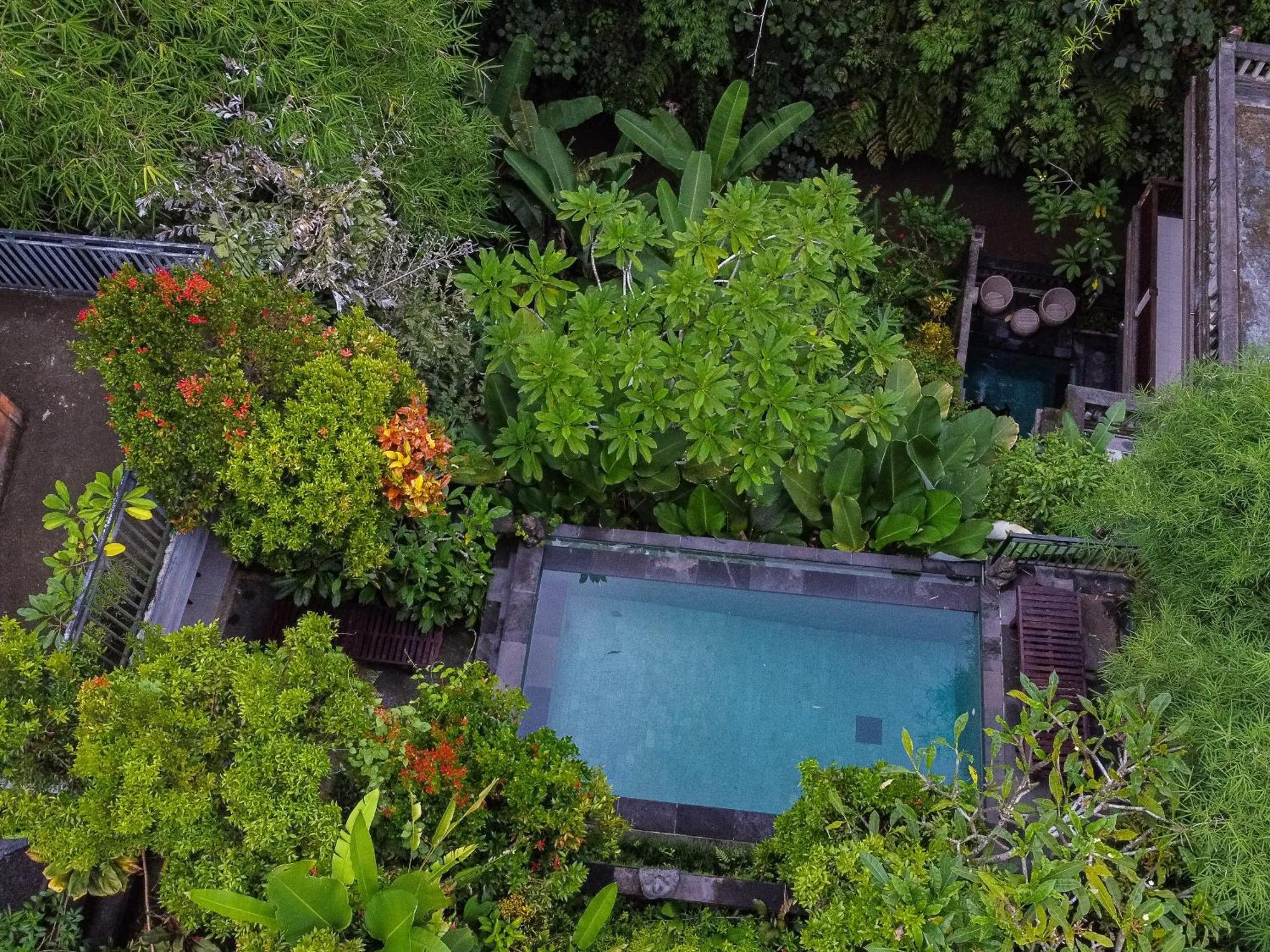 Manas Ubud (Bali)