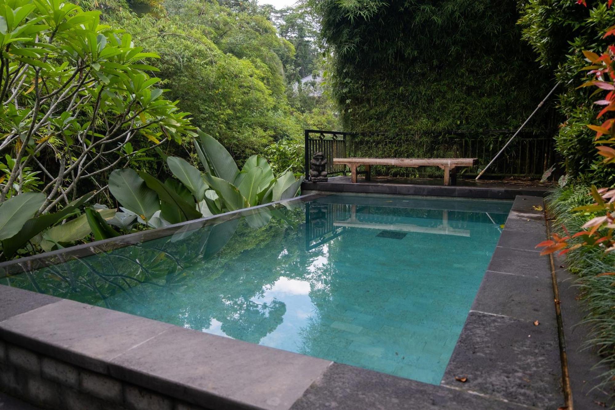 Manas * Ubud (Bali)