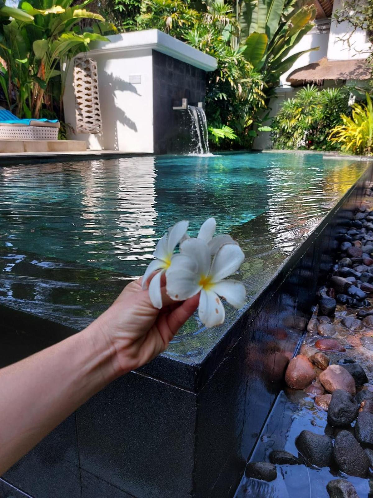 Flower Moon Lovely Hideaway In Heart Of Villa *