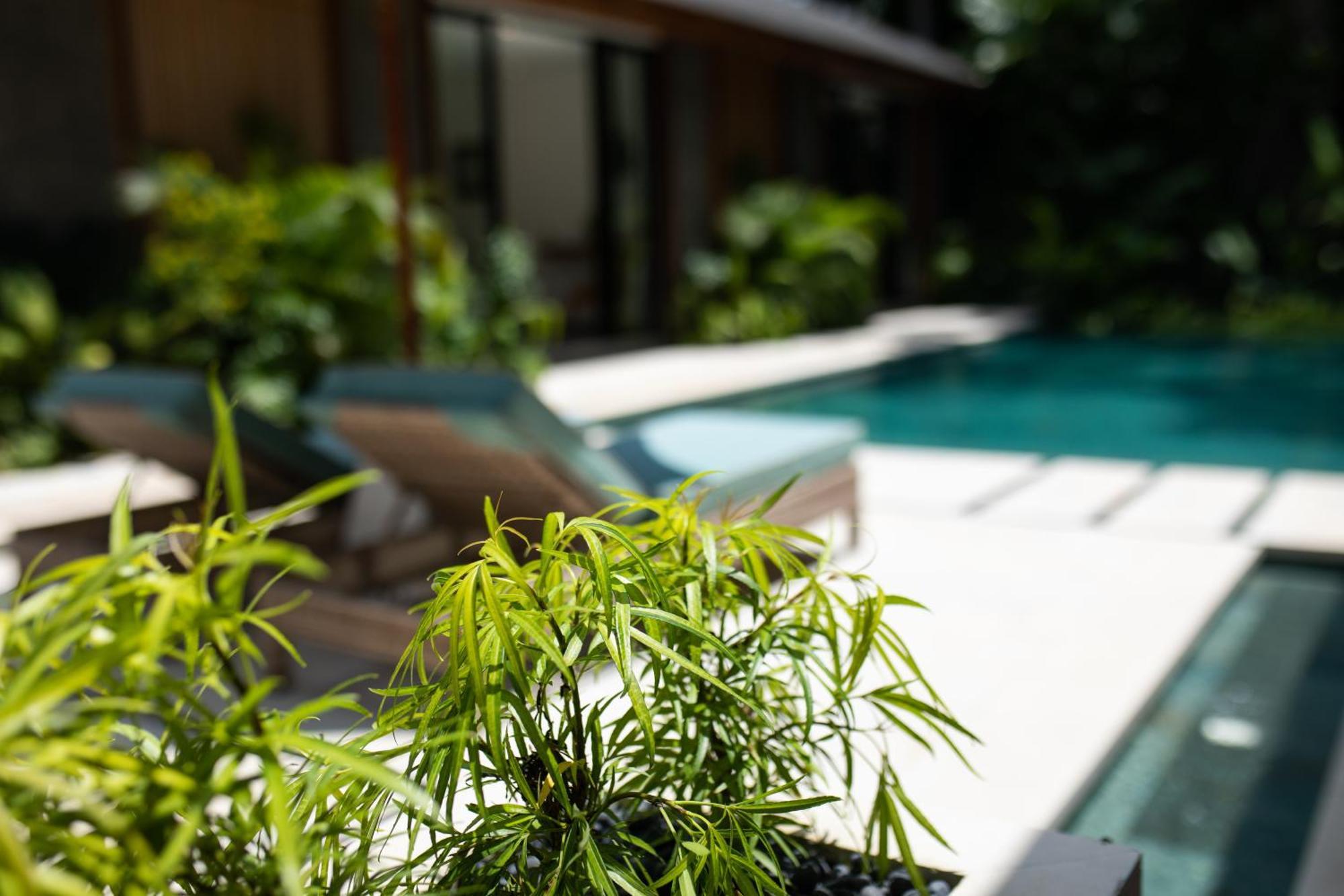 Sunny Side Private Pool And Free Xmax Bike *