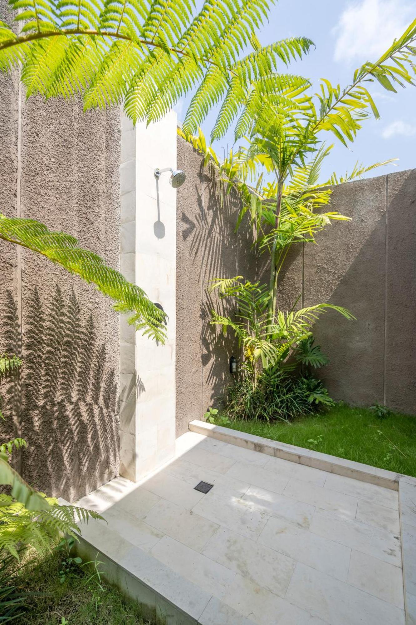 The Kayu By Goro