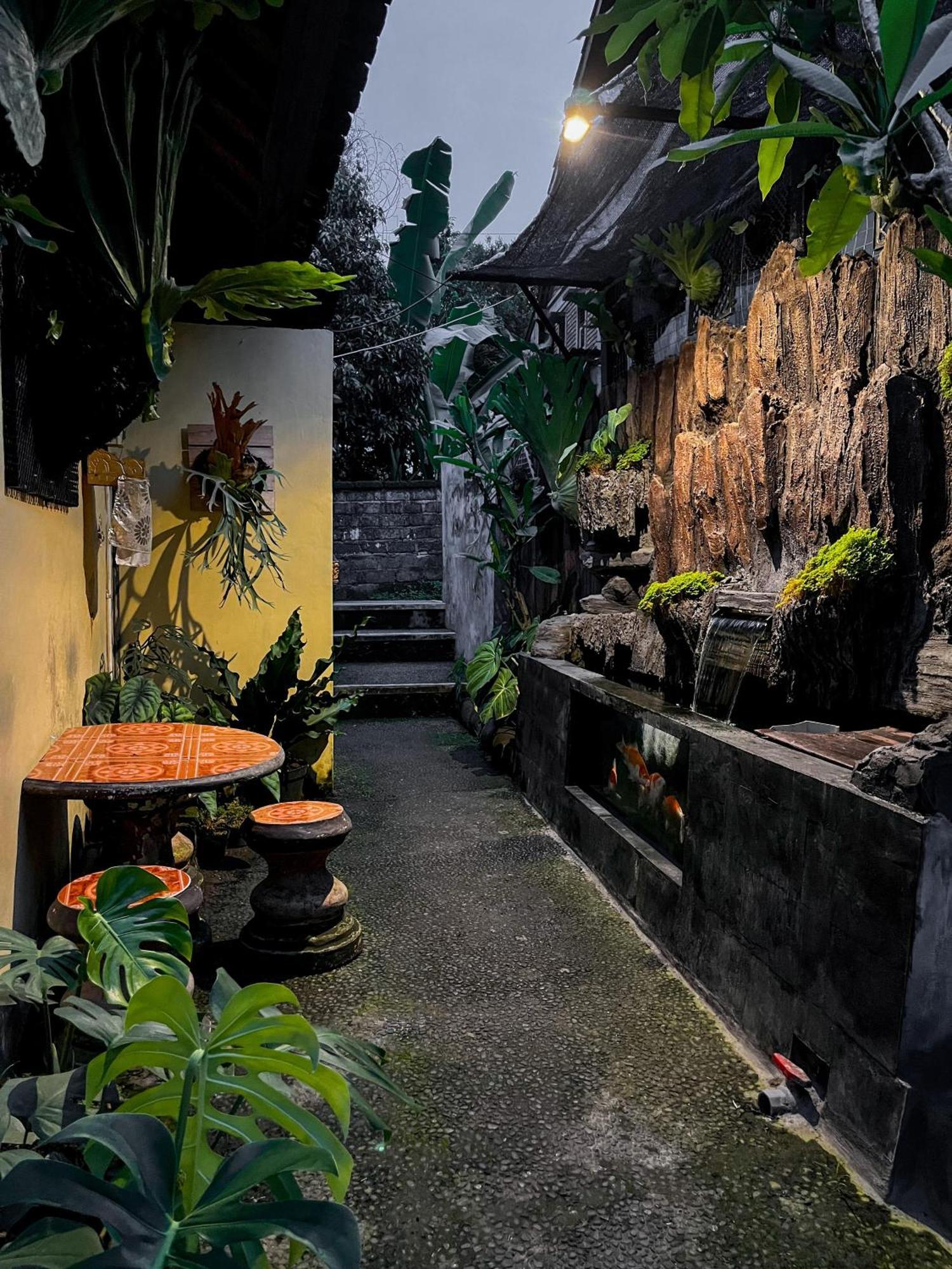Pala House *