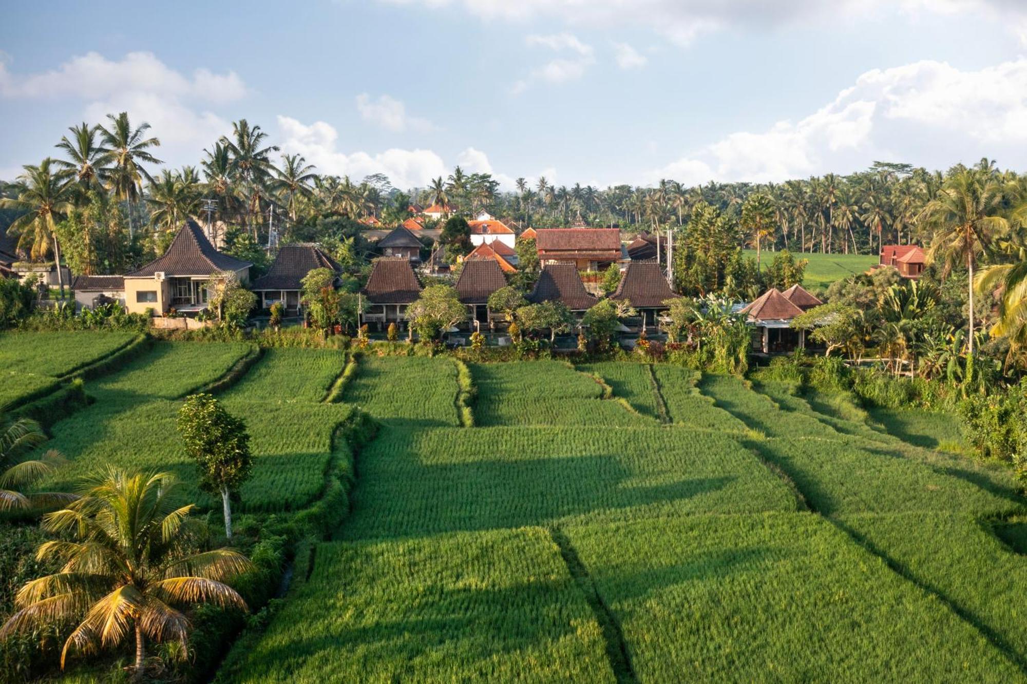 Vila Wooden Ganeca By Pramana