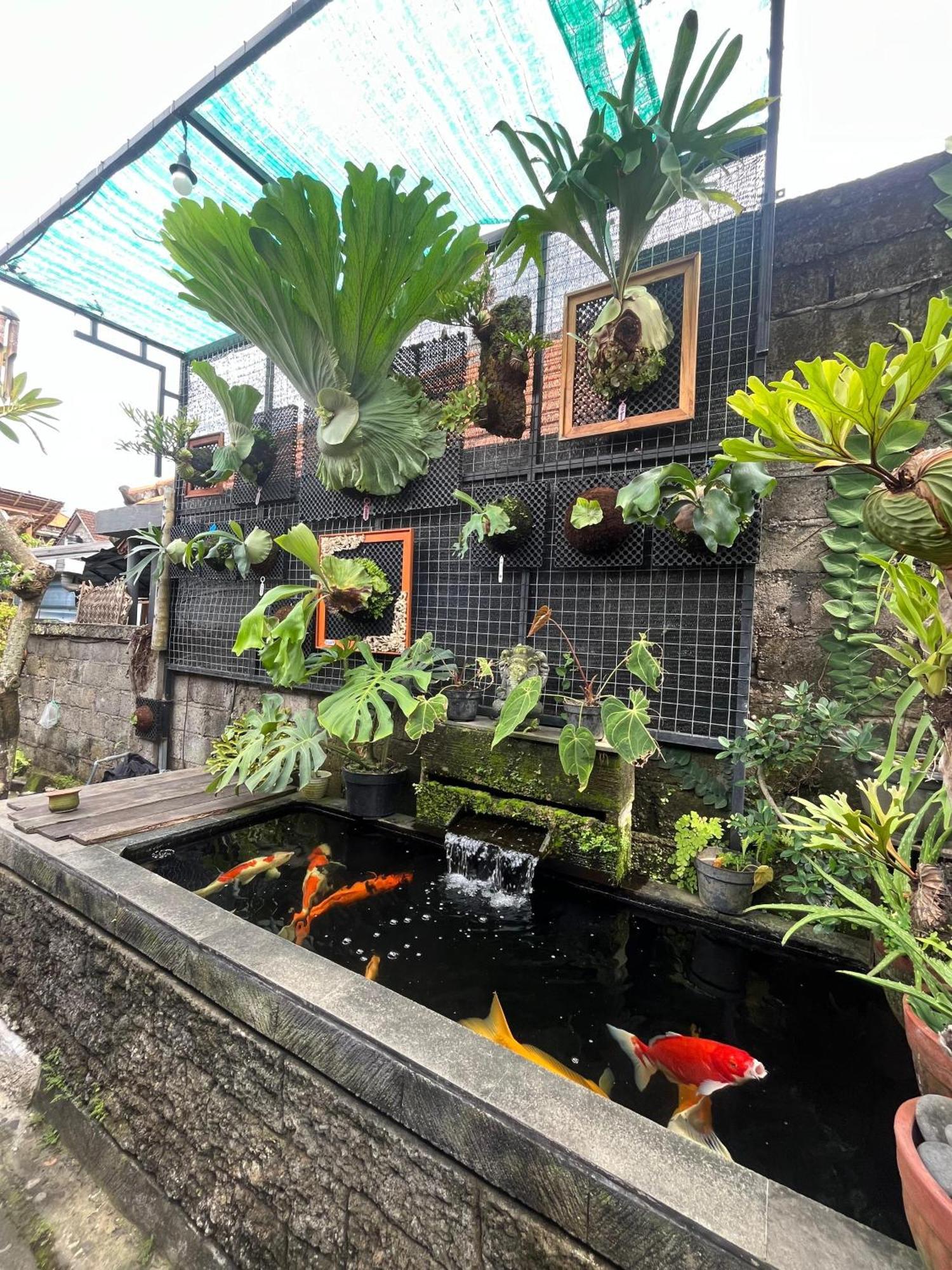 Homestay Tutde's House Ubud (Bali)