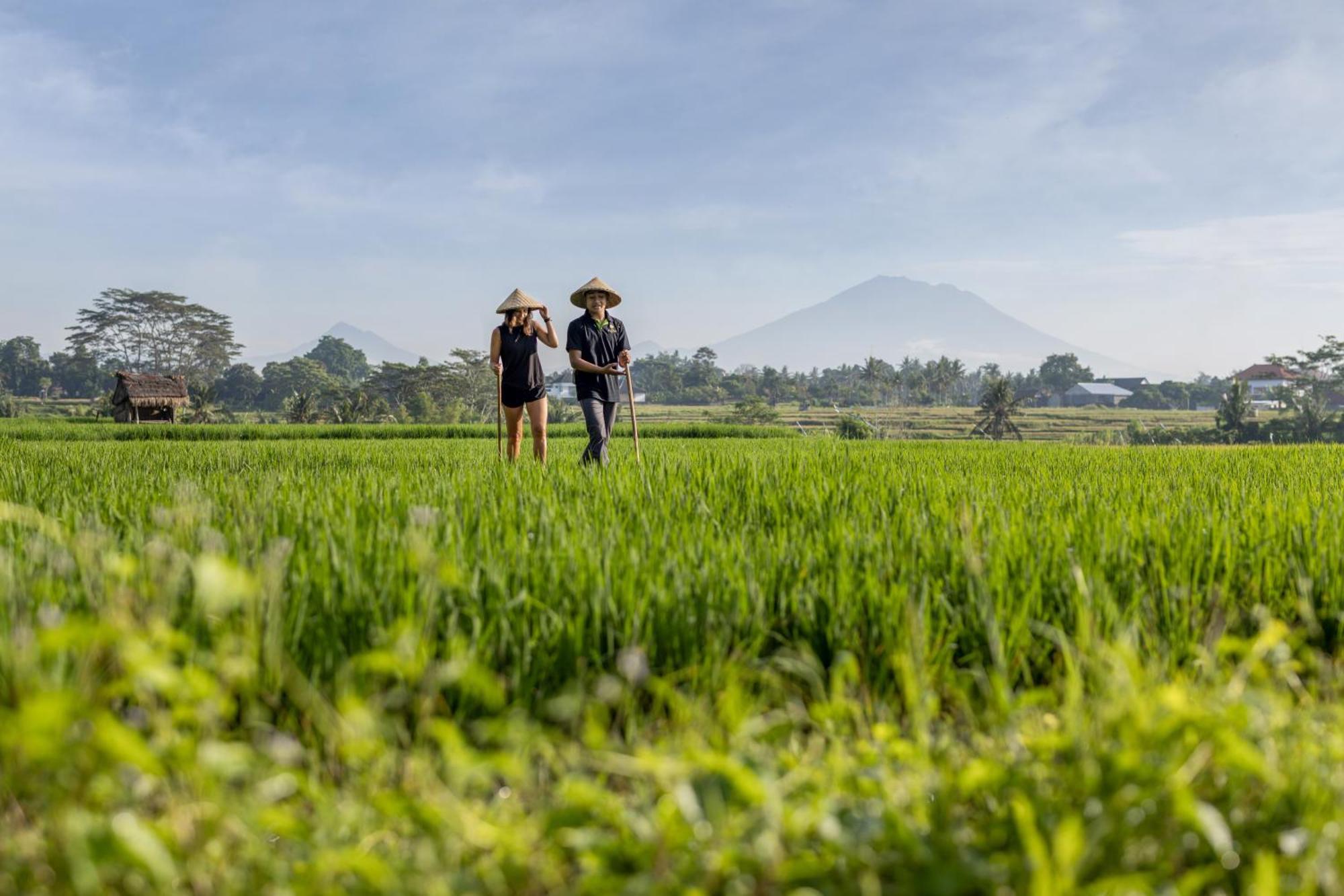 The Alena Resort A Pramana Experience