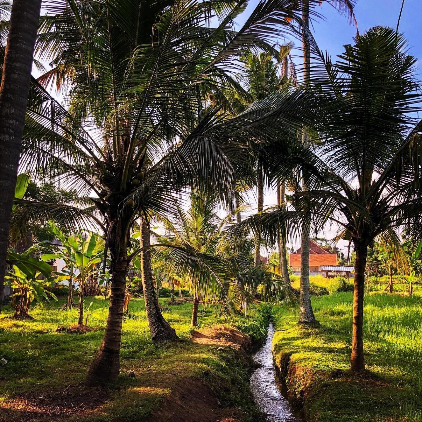 Auroville Private Homes With Garden And Kitchen Villa Ubud