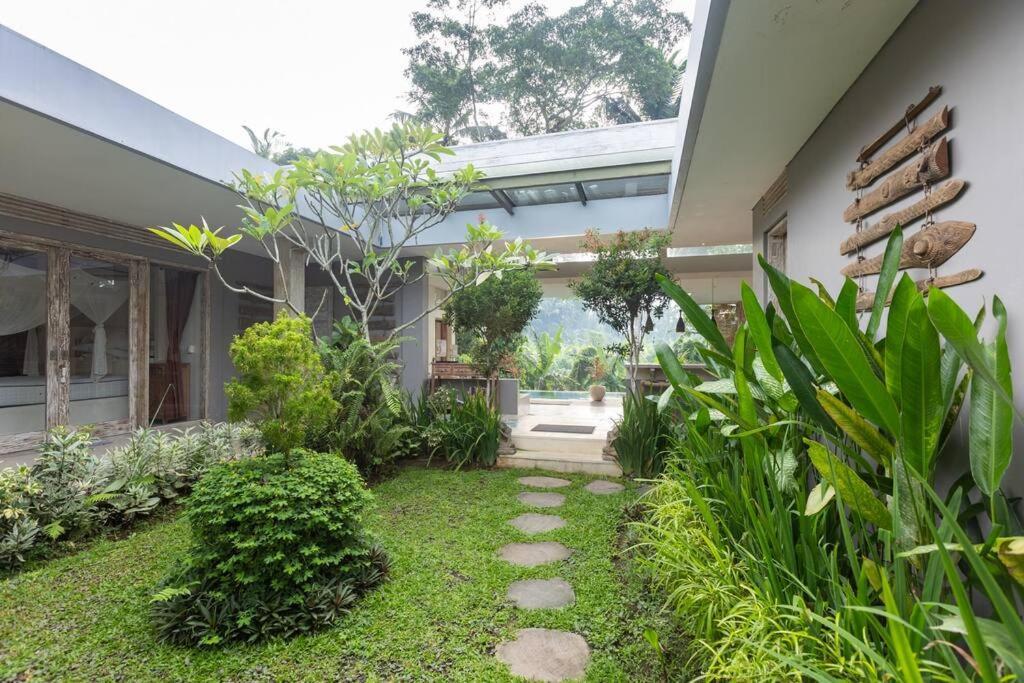 Adyashanti ~private, Peaceful Sanctuary *