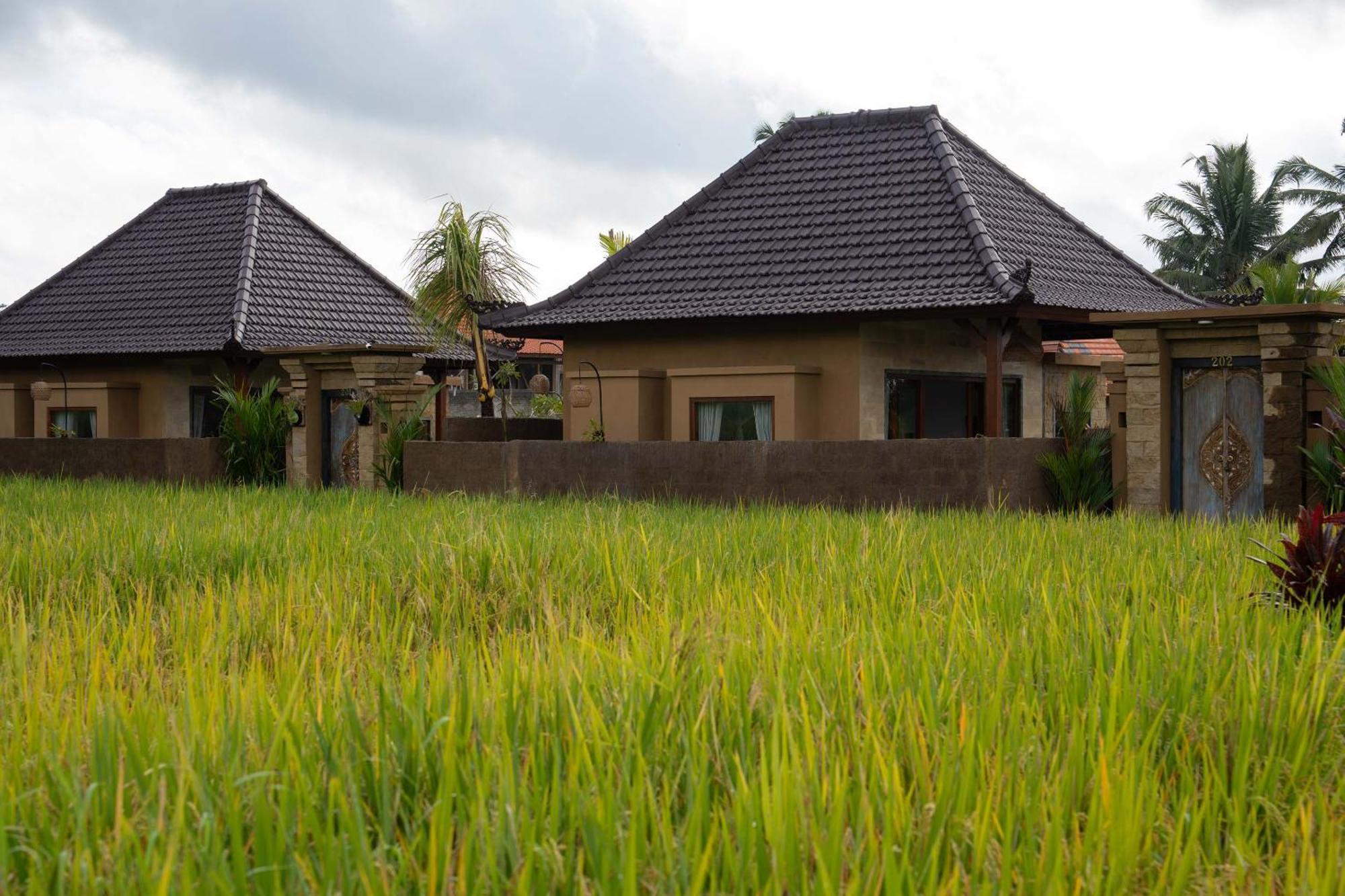 Sawah Sebatu