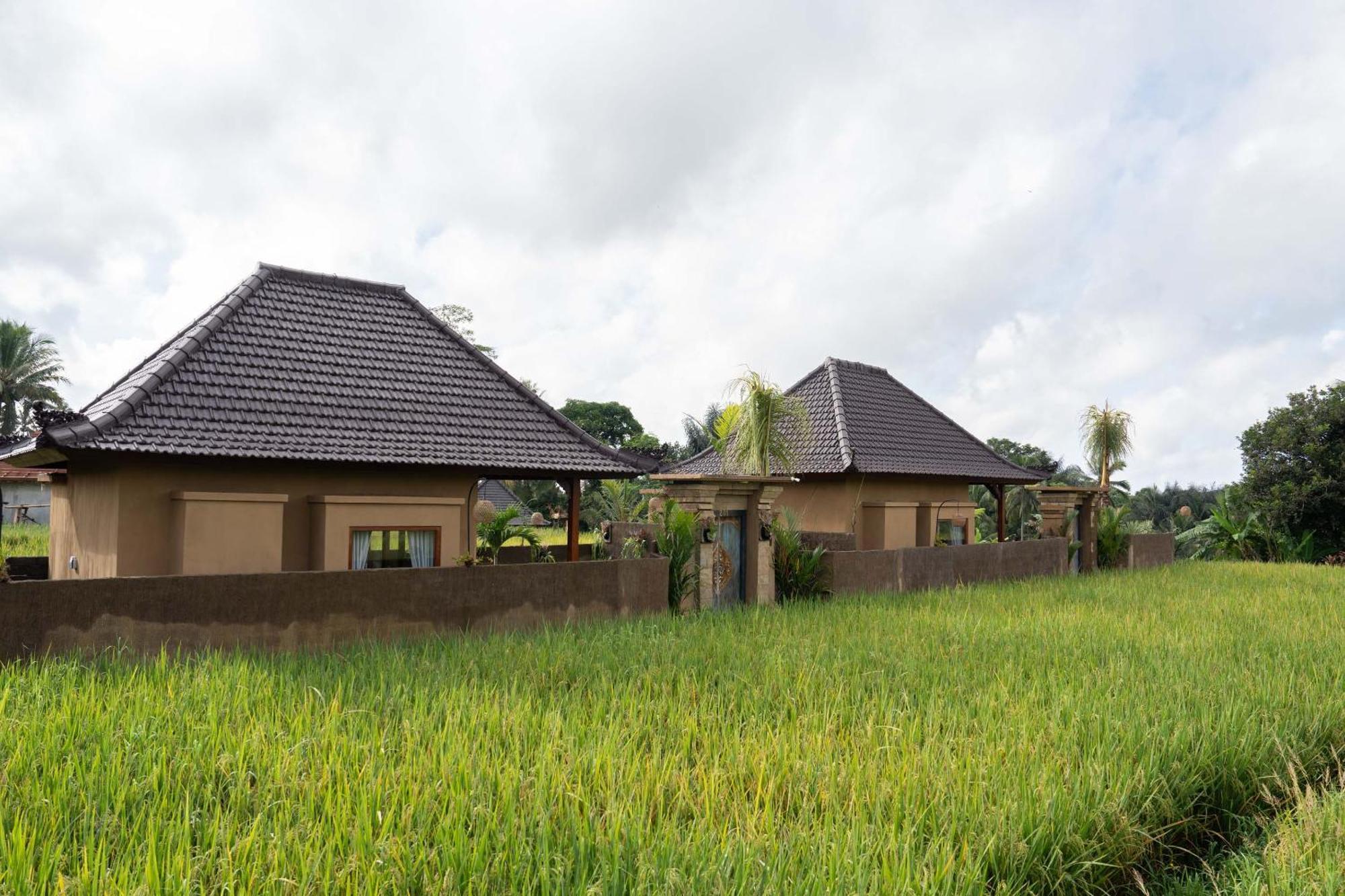 Sawah Sebatu Villa