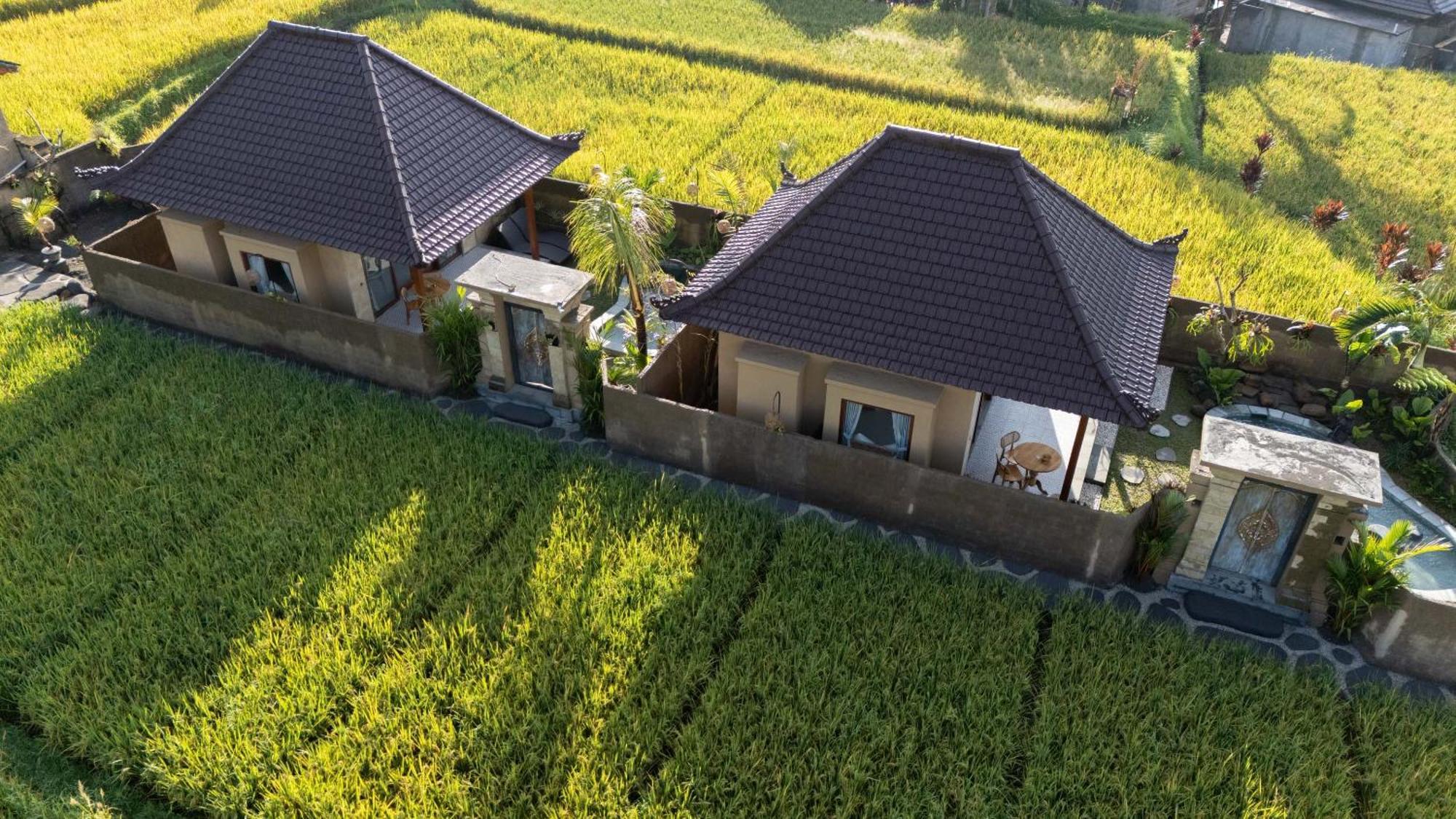 Sawah Sebatu
