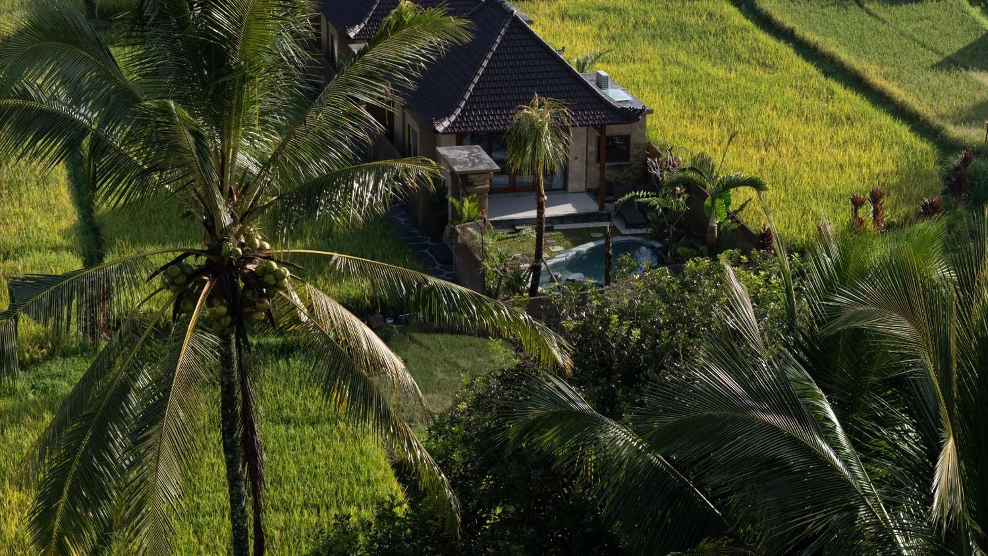 Villa Sawah Sebatu Ubud (Bali)