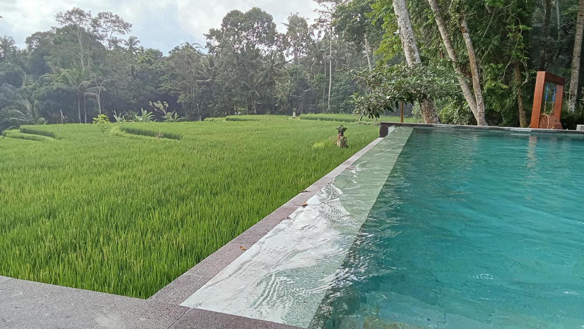 Villa Taman, 2br With Breathtaking Rice Paddy View *