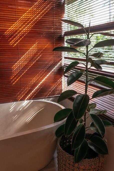 Apartment The Entire Modern In - Outerphi Suweta *
