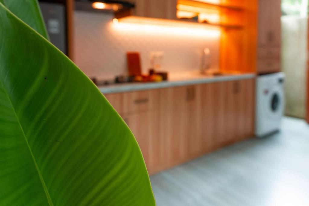 Apartment The Entire Modern In - Outerphi Suweta Ubud (Bali)