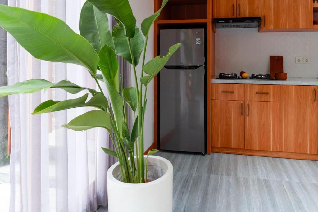 The Entire Modern In - Outerphi Suweta * Ubud (Bali)