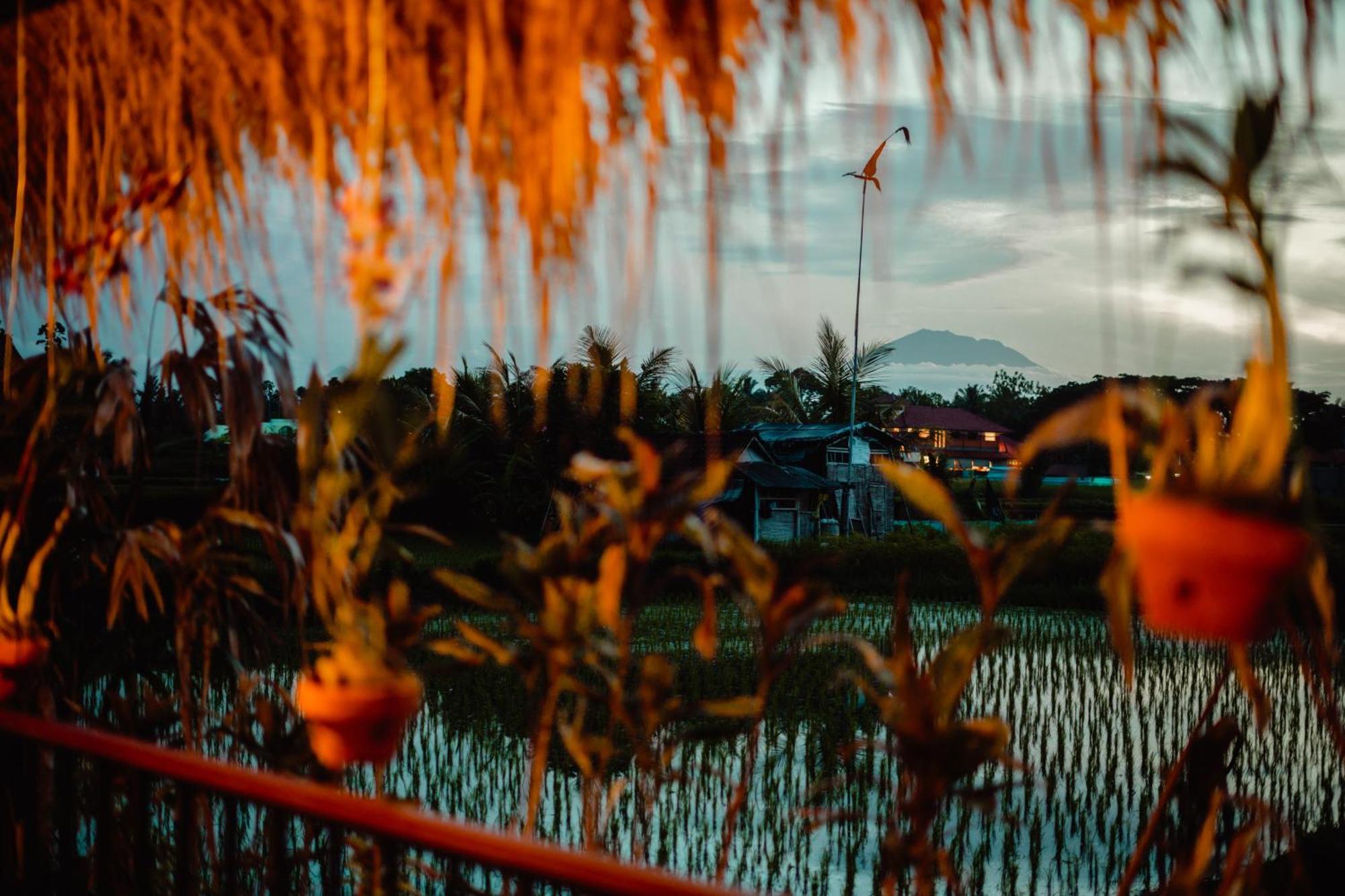 Nila Chandra * Ubud (Bali)