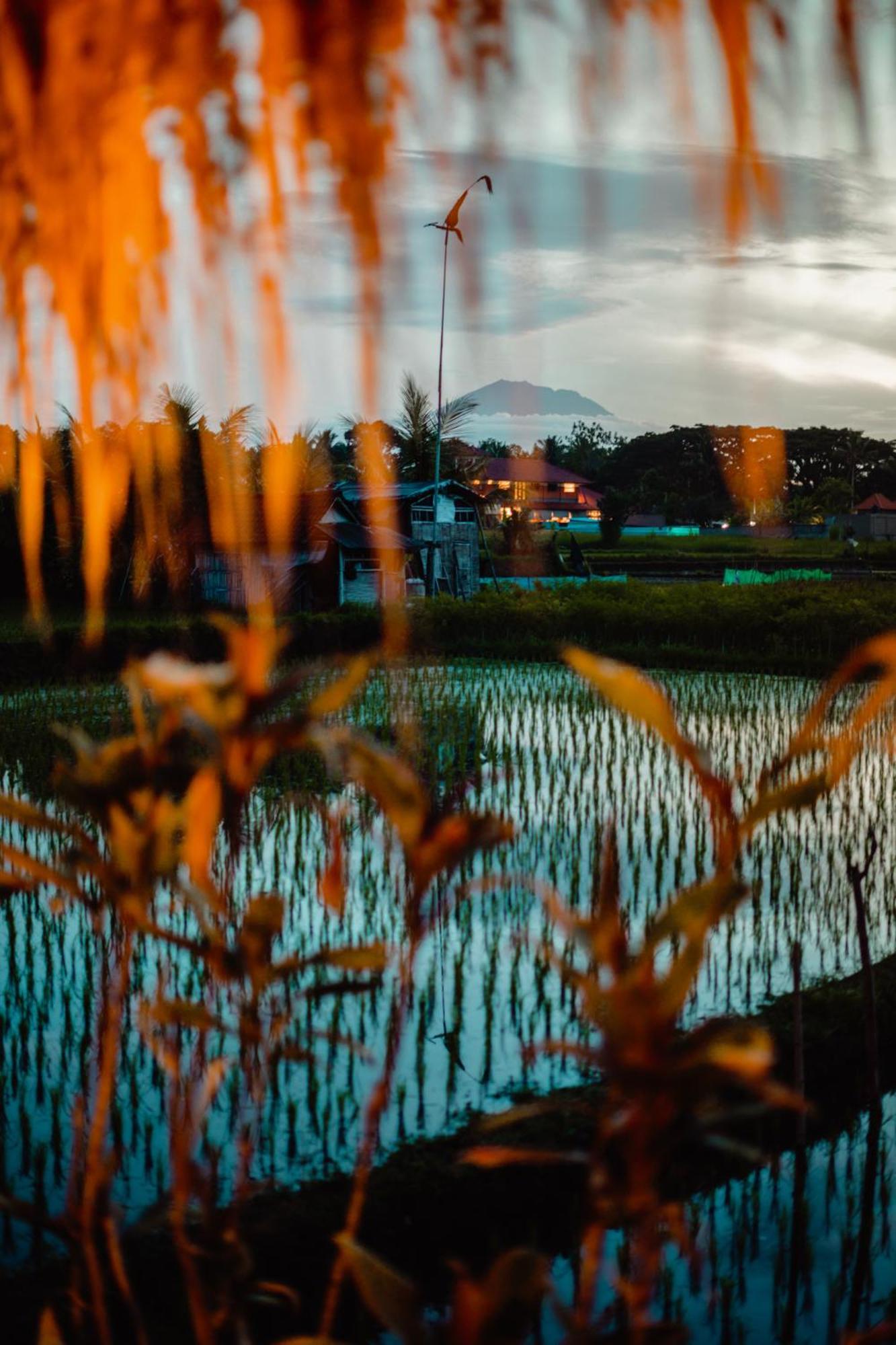 Nila Chandra Ubud (Bali)