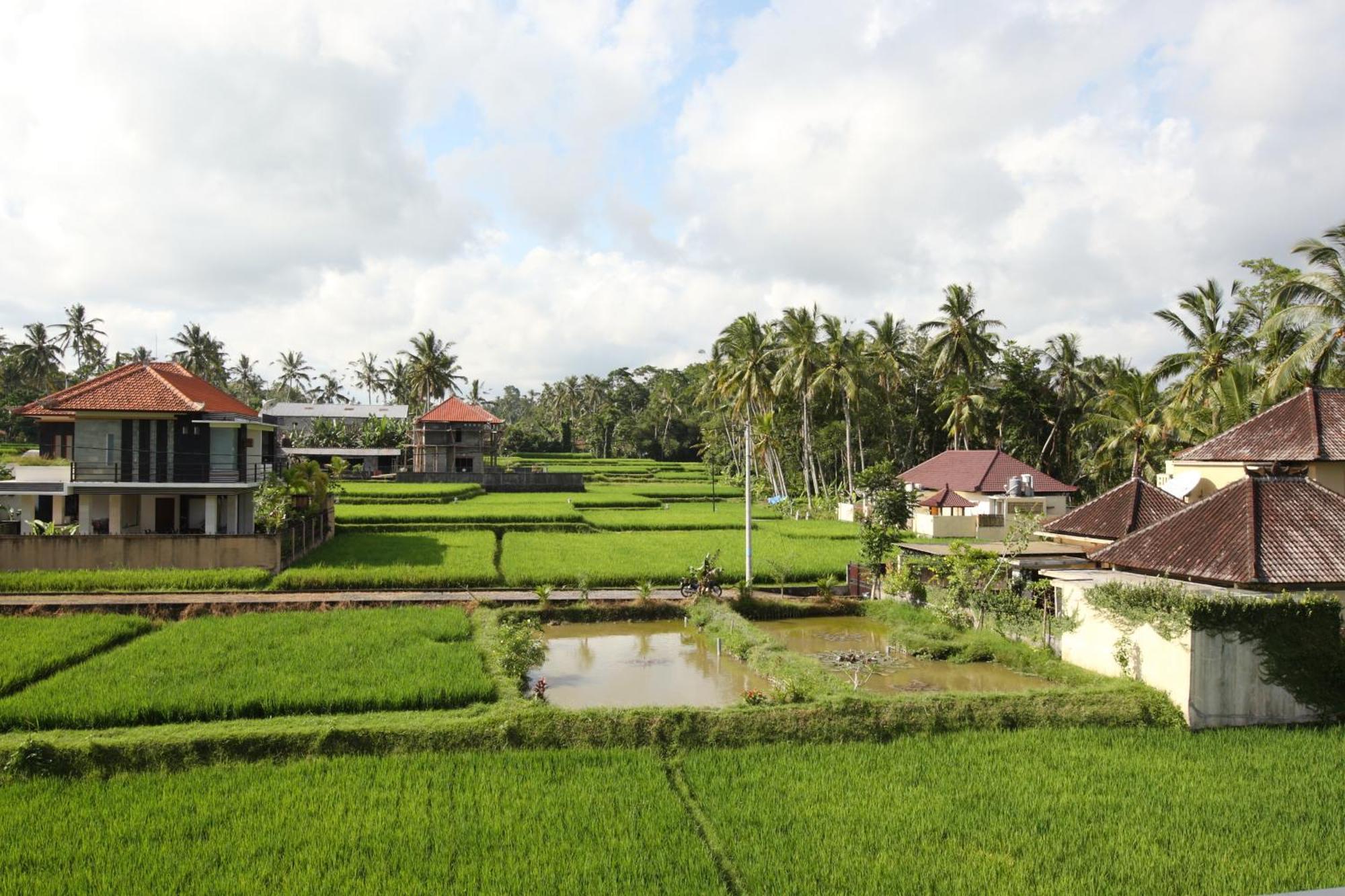 Guest house Swarapadi 3*