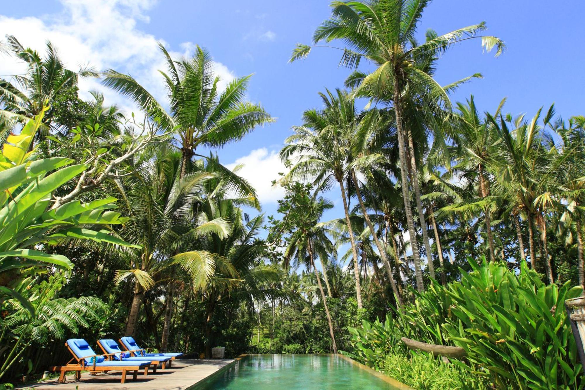 Guest house Swarapadi