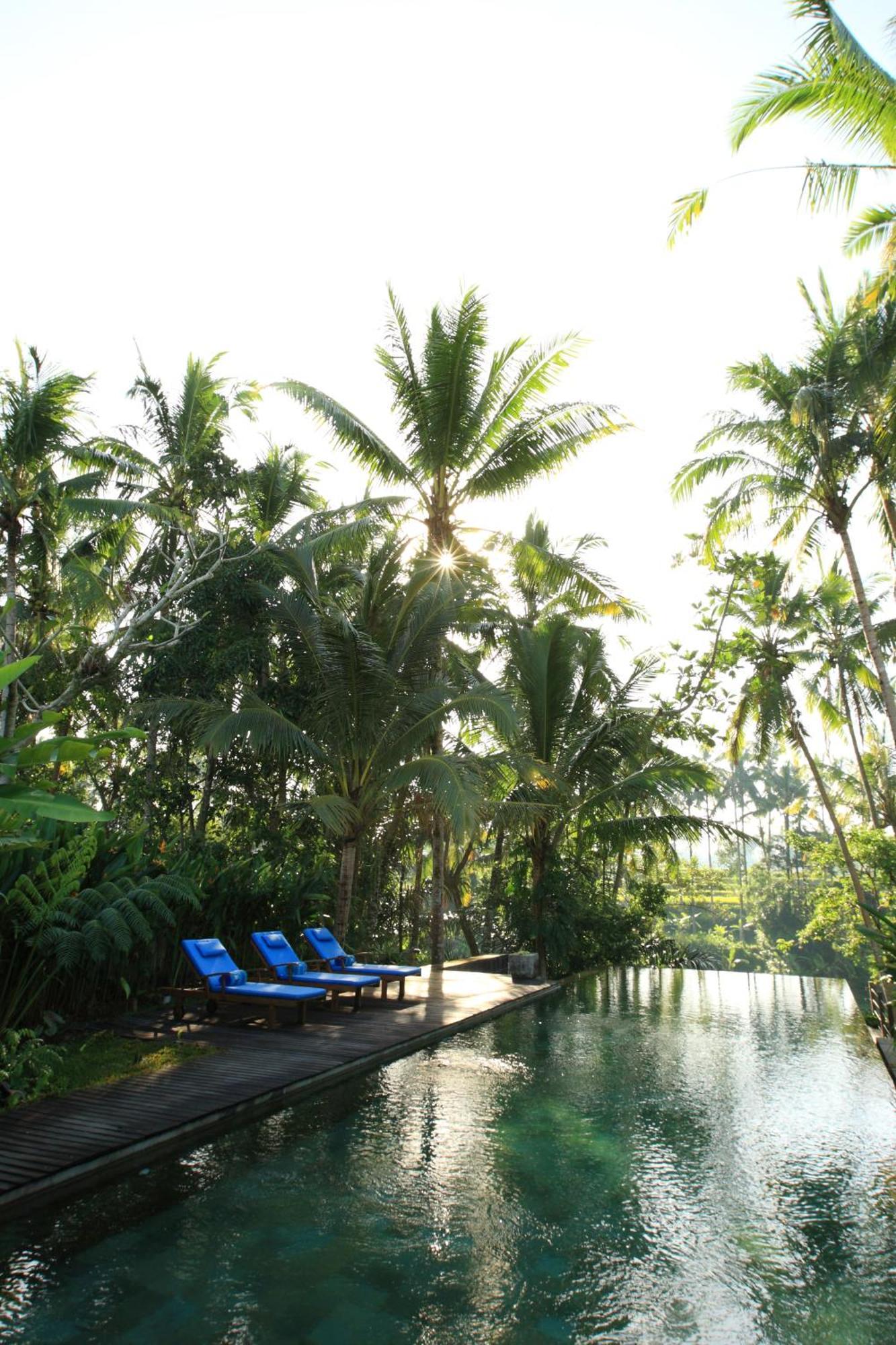 Swarapadi