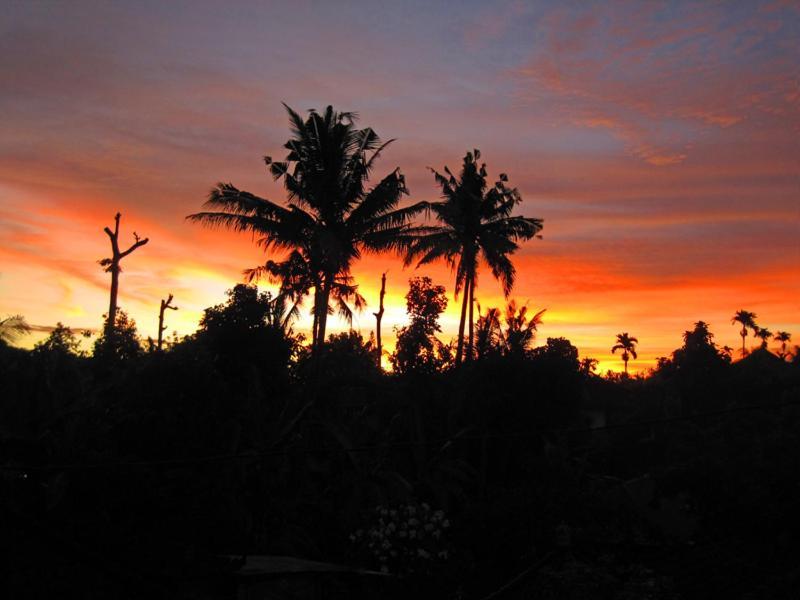 Nyoman Murjana Ubud