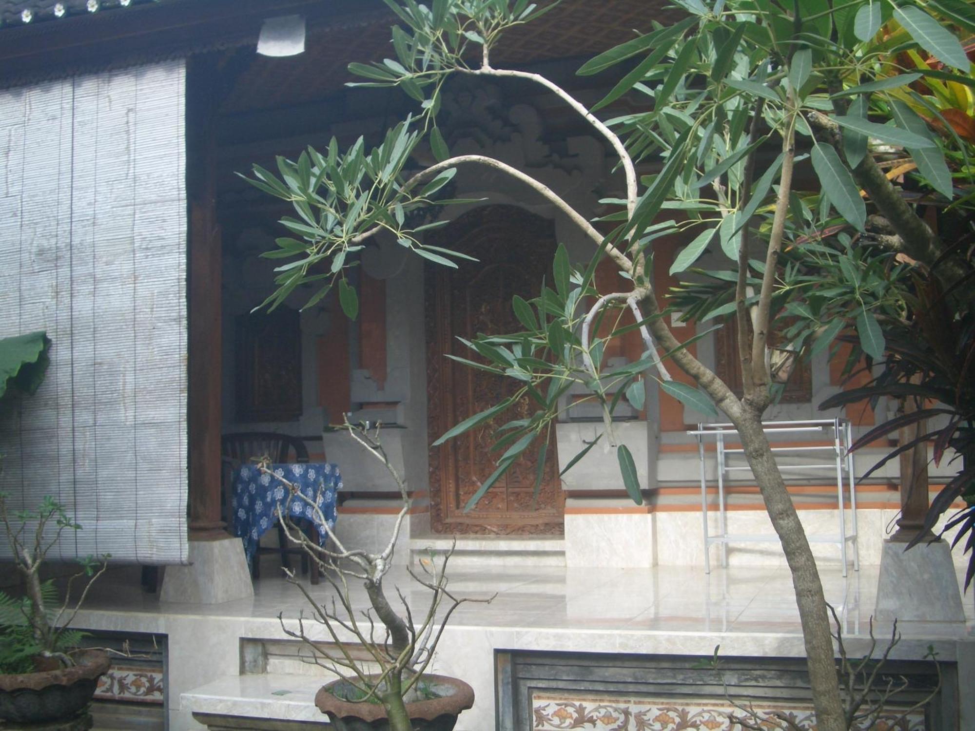 Guest house Bagus *