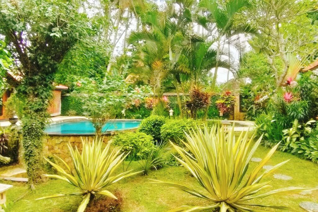 Villa Jineng 5 Bedroom Private Pool With Stunning Garden By Basma Groups
