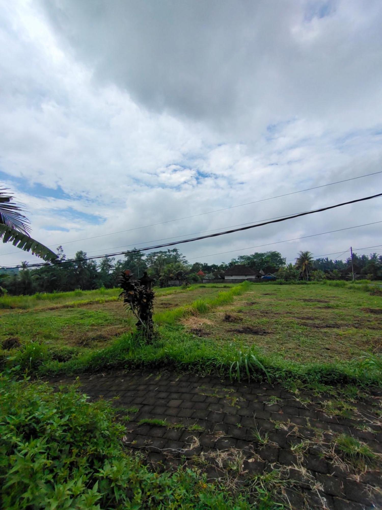 Guest house Molog Ubud (Bali)