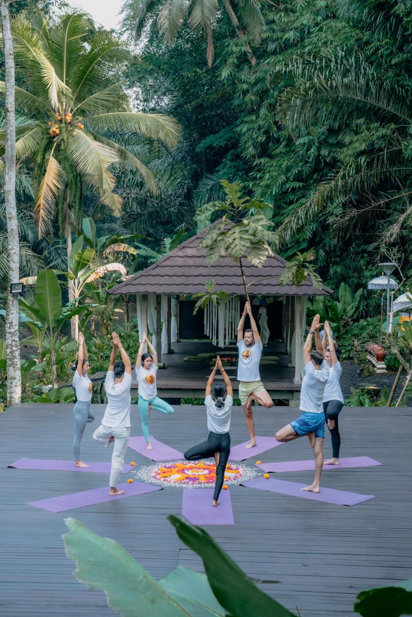 Tattva Retreat & Wellness 3*