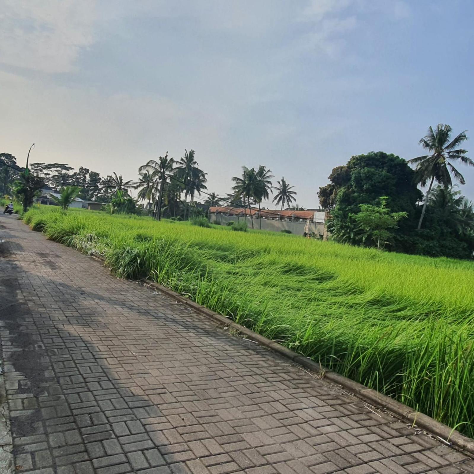 Naturale Ubud, Bali *