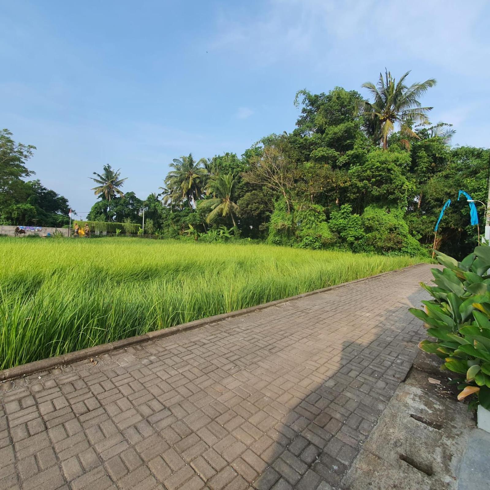 Naturale Ubud, Bali