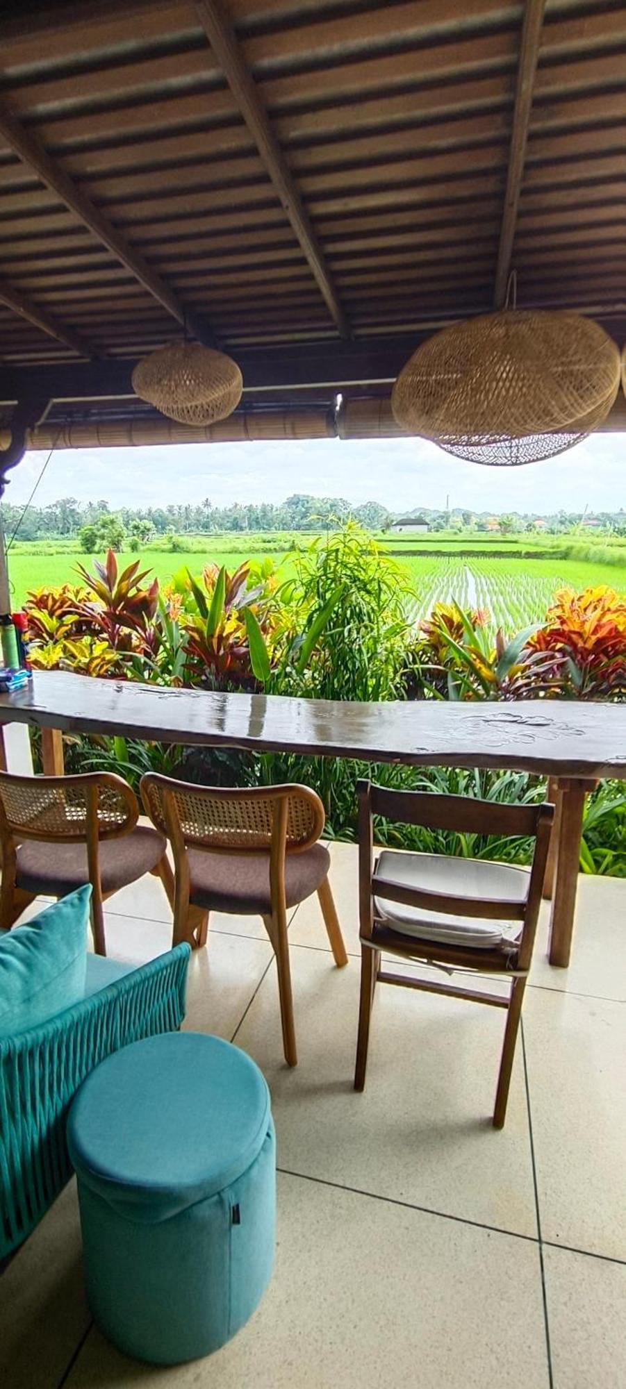 With Rice Field Views In