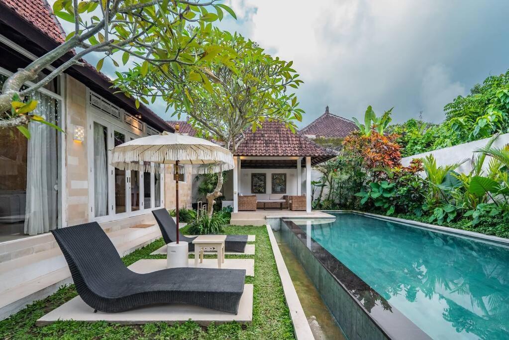 Amedee Villa *