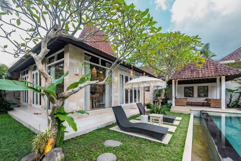 Villa Amedee *