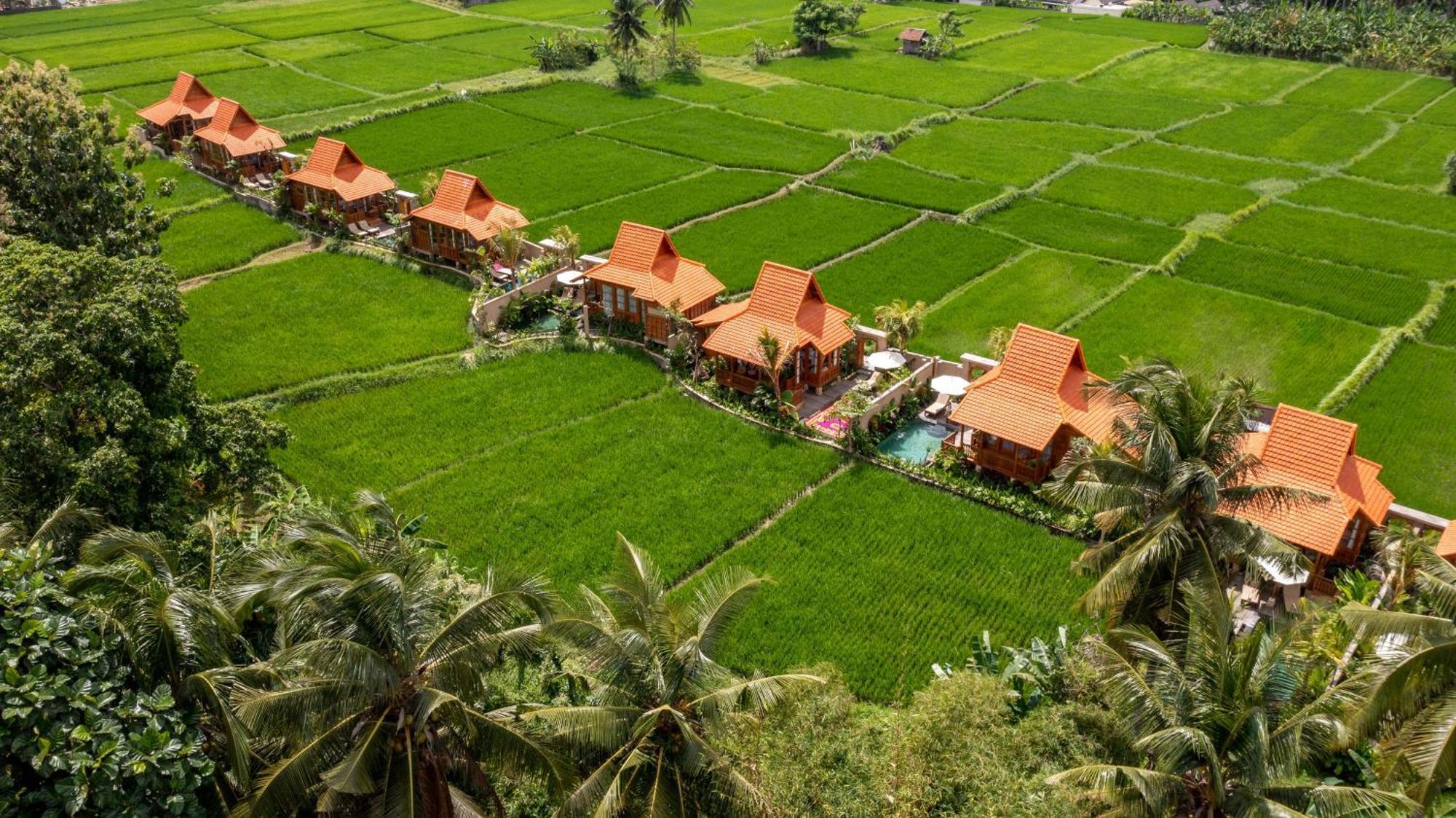 The Kalyana 4*