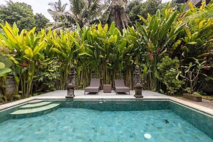 Guest house Dodiit House *