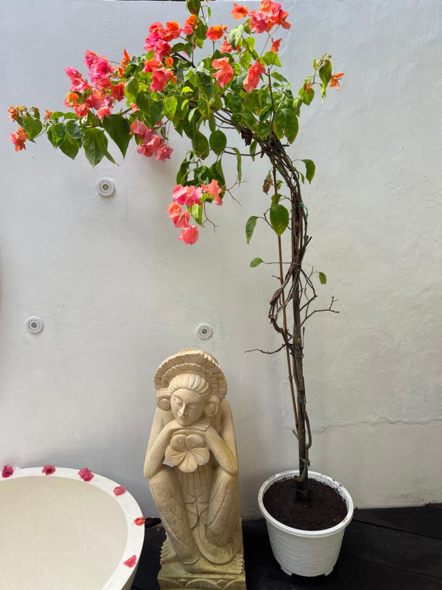 Flower Moon Lovely Hideaway In Heart Of Ubud (Bali)
