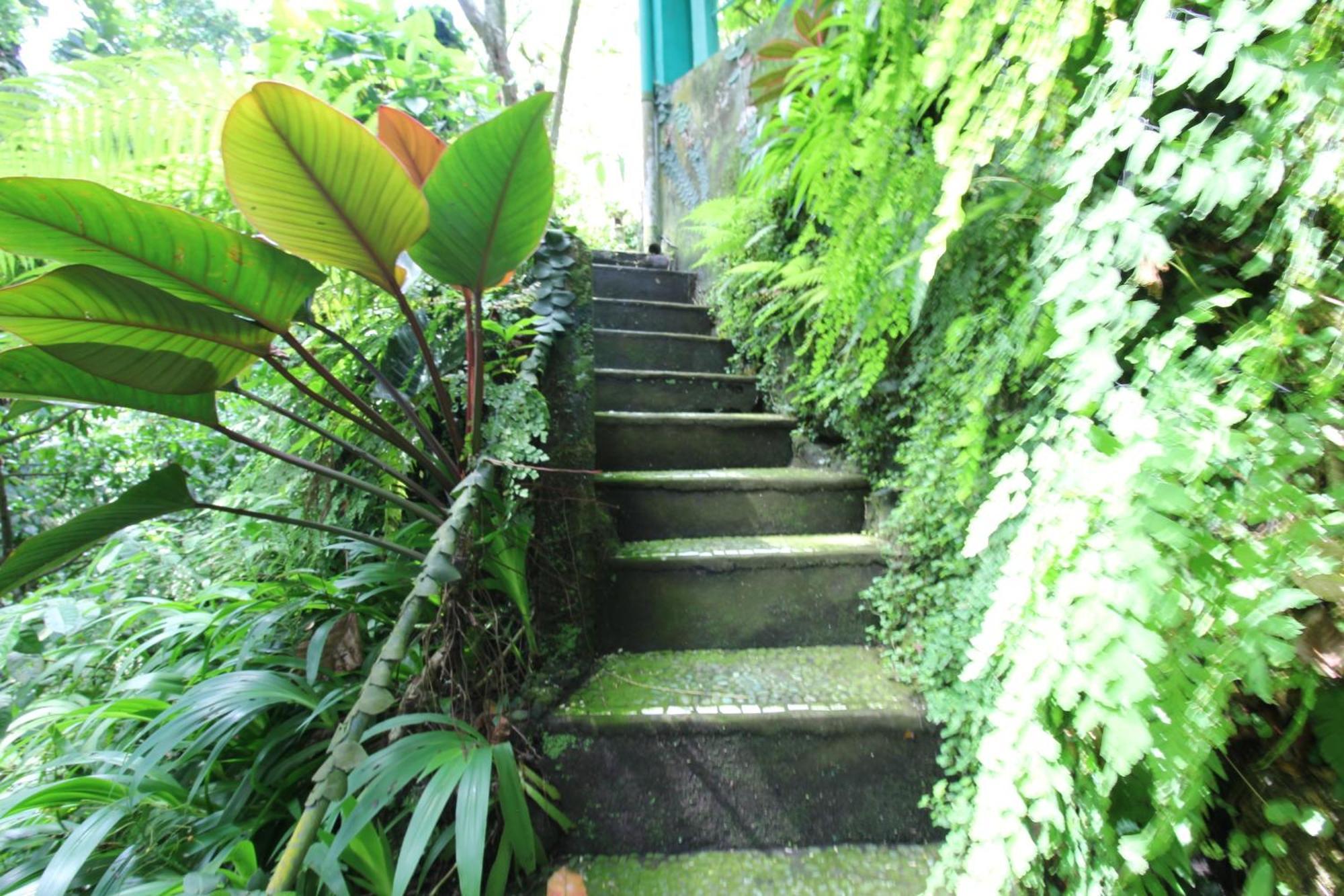 Belvilla Padma Legian Near Monkey Forestnearubud Palace *
