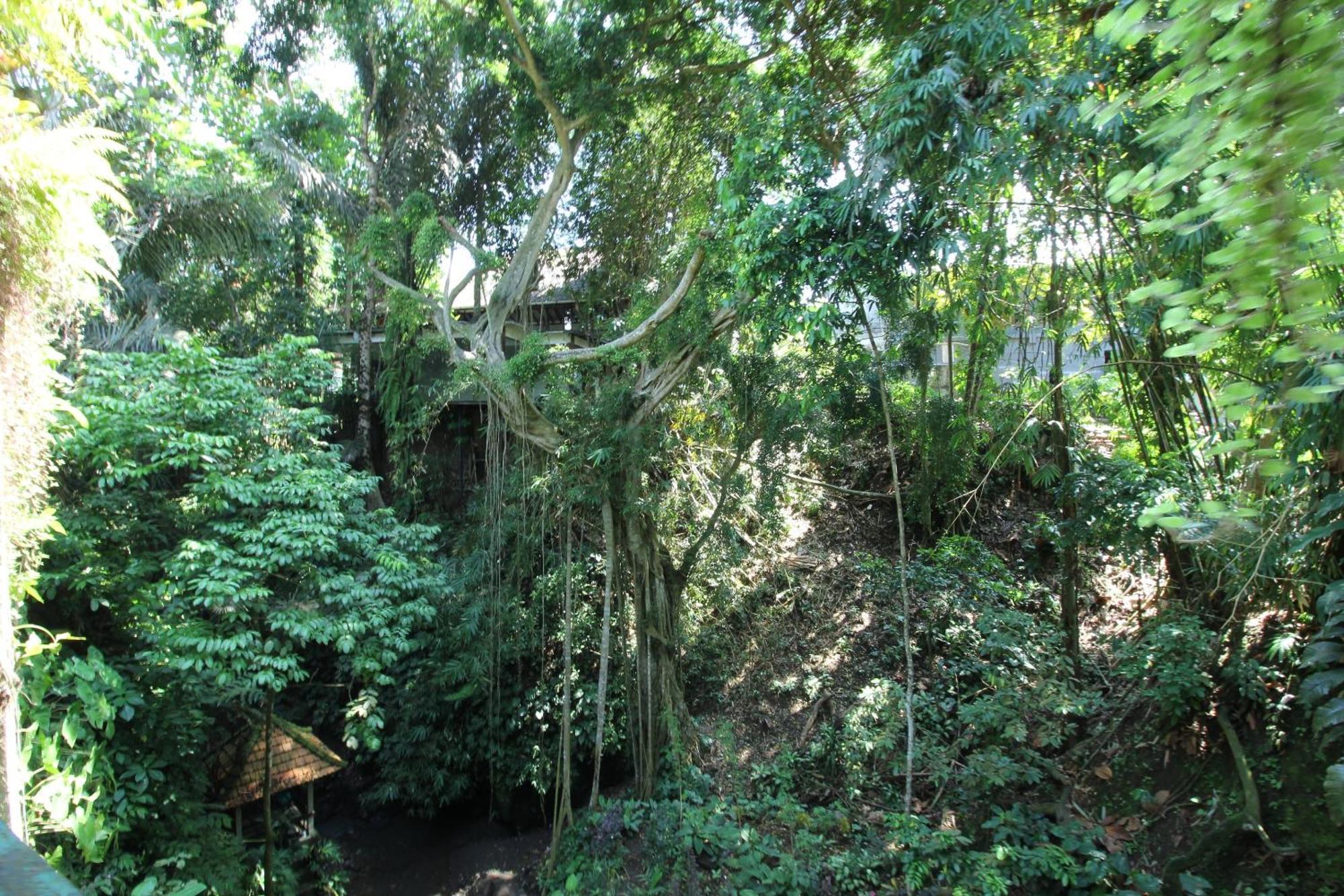Villa Belvilla Padma Legian Near Monkey Forestnearubud Palace Ubud (Bali)