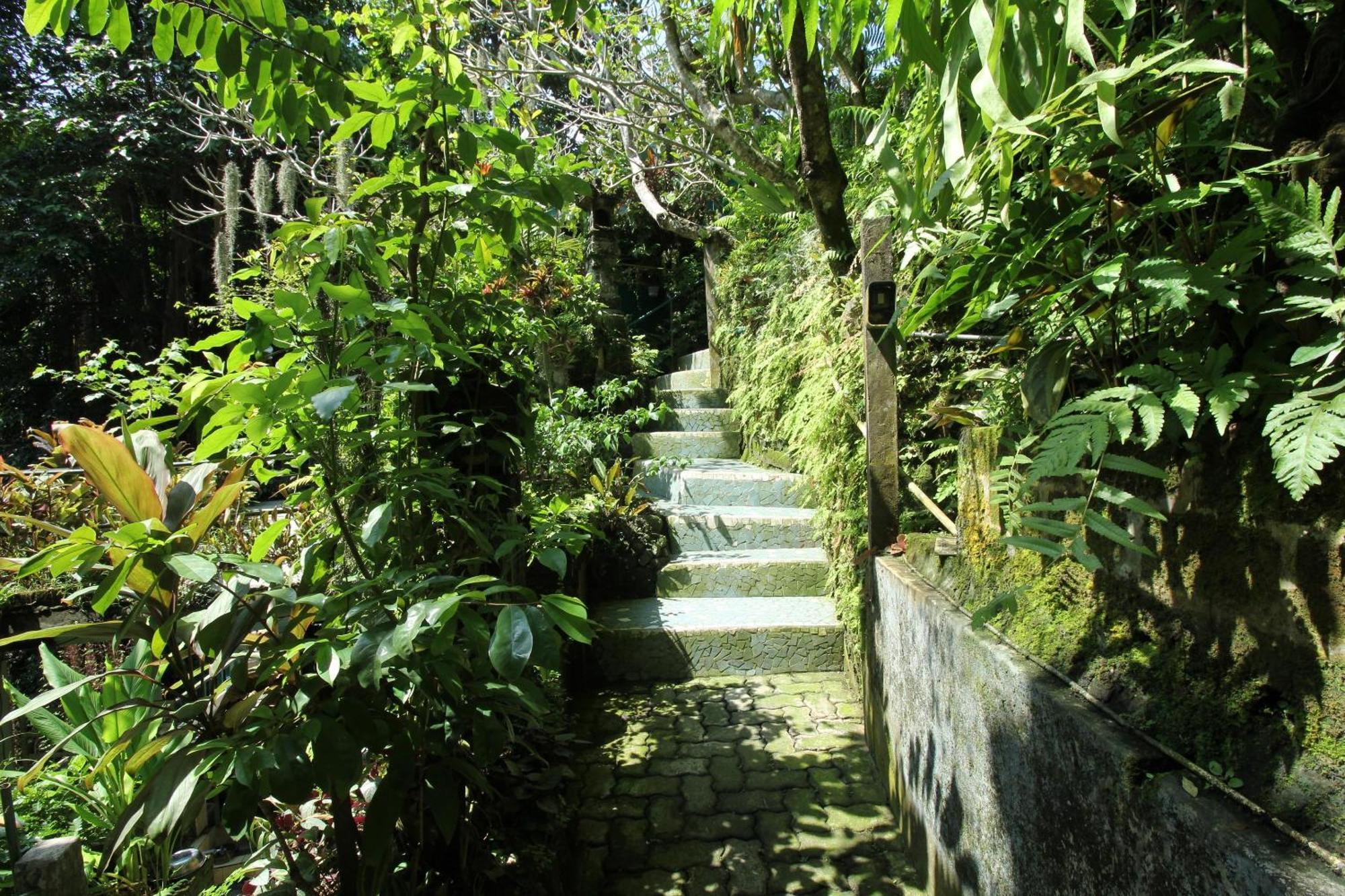 Belvilla Padma Legian Near Monkey Forestnearubud Palace
