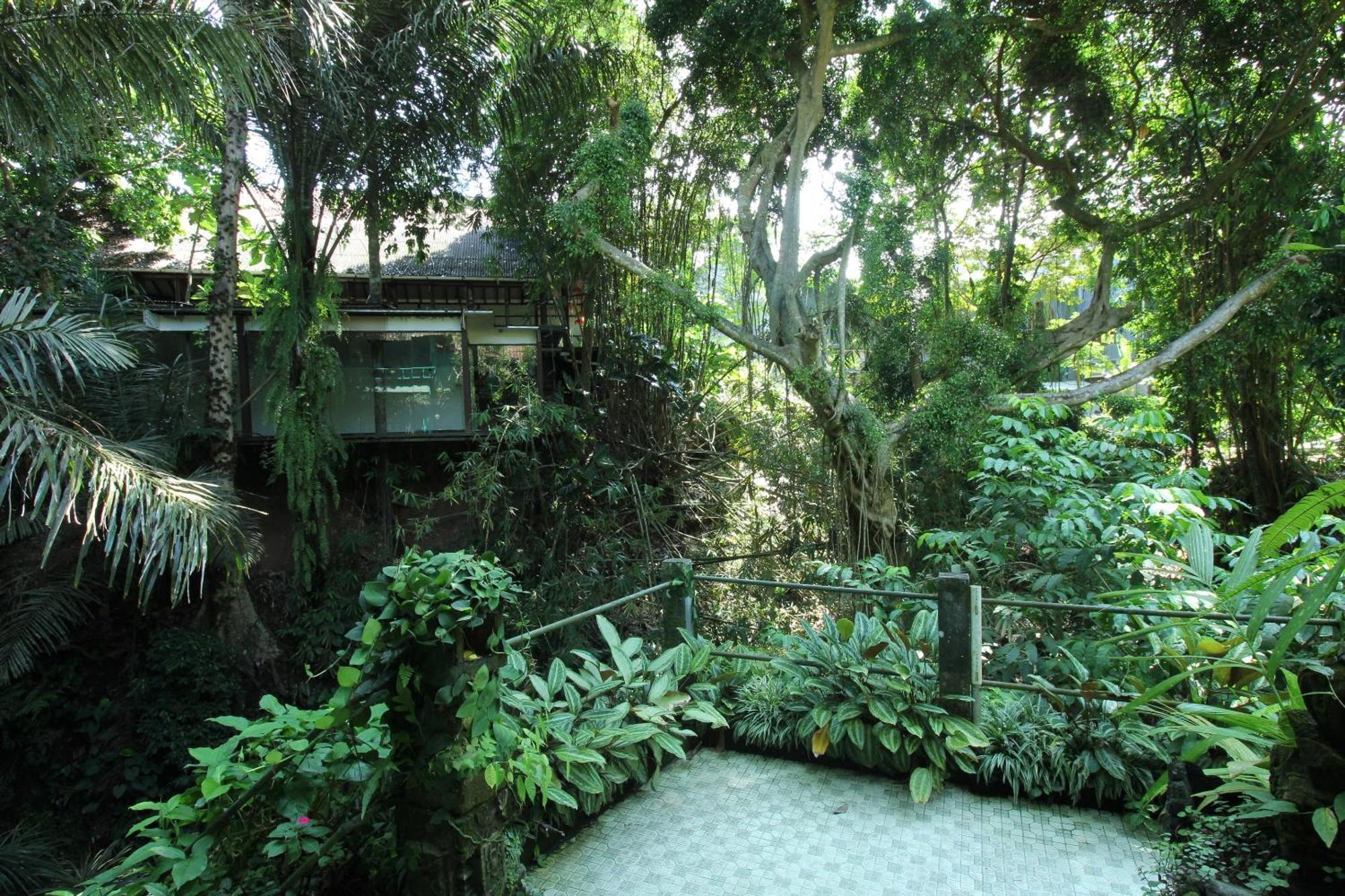 Belvilla Padma Legian Near Monkey Forestnearubud Palace Villa Ubud (Bali)