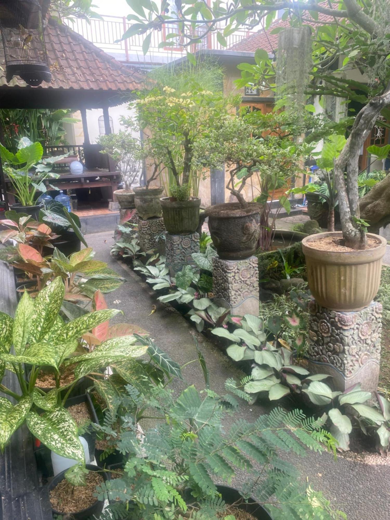 Suryadina Guest house *