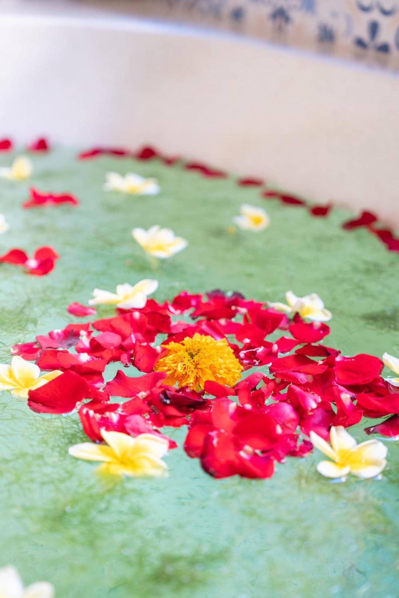 Resor The Compass Rose Ubud (Bali)