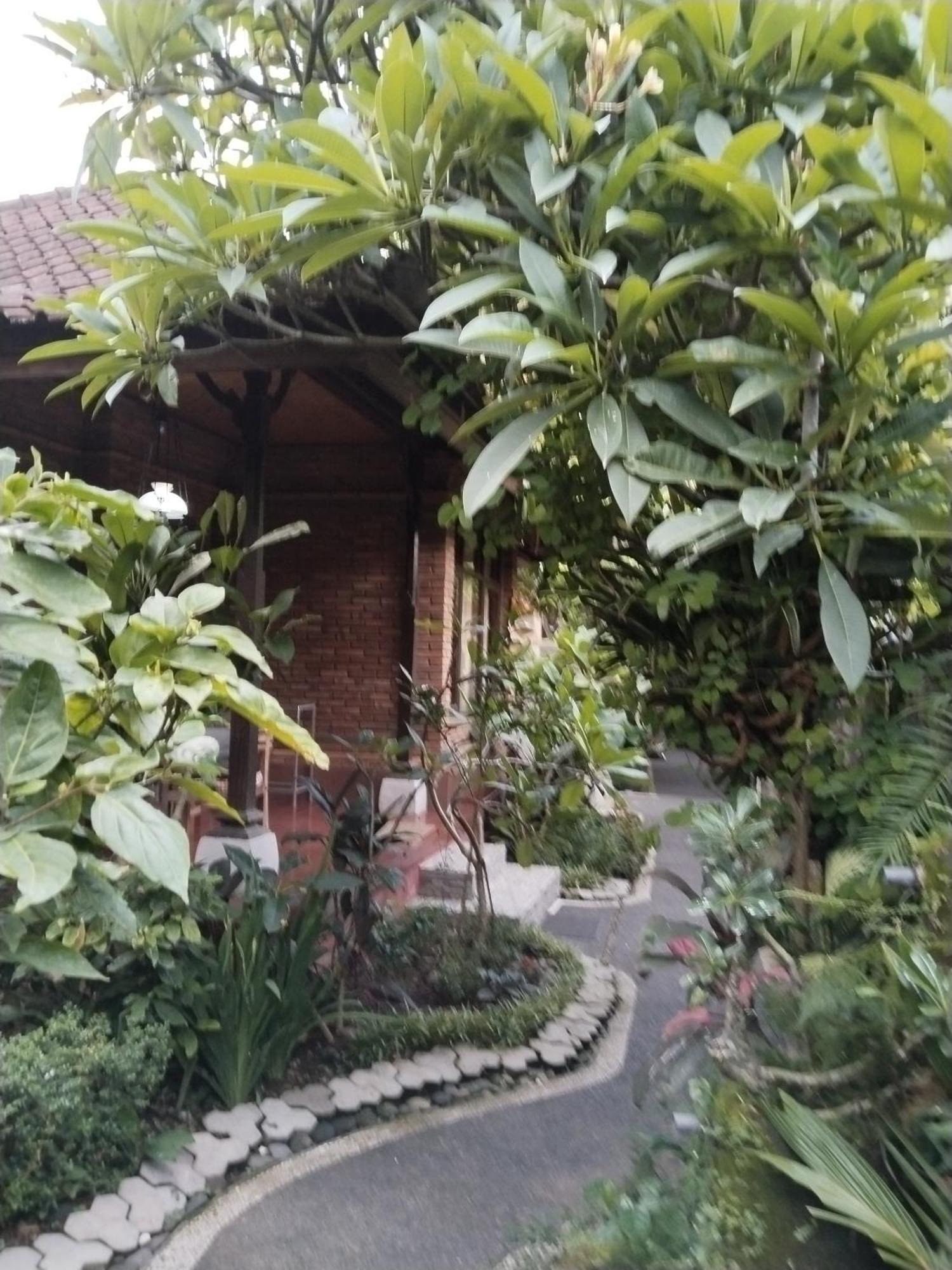 Dewa 2* Ubud (Bali)