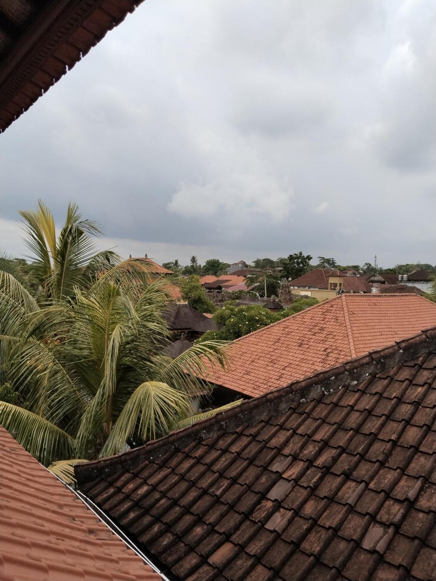 Dewa Wisma tamu