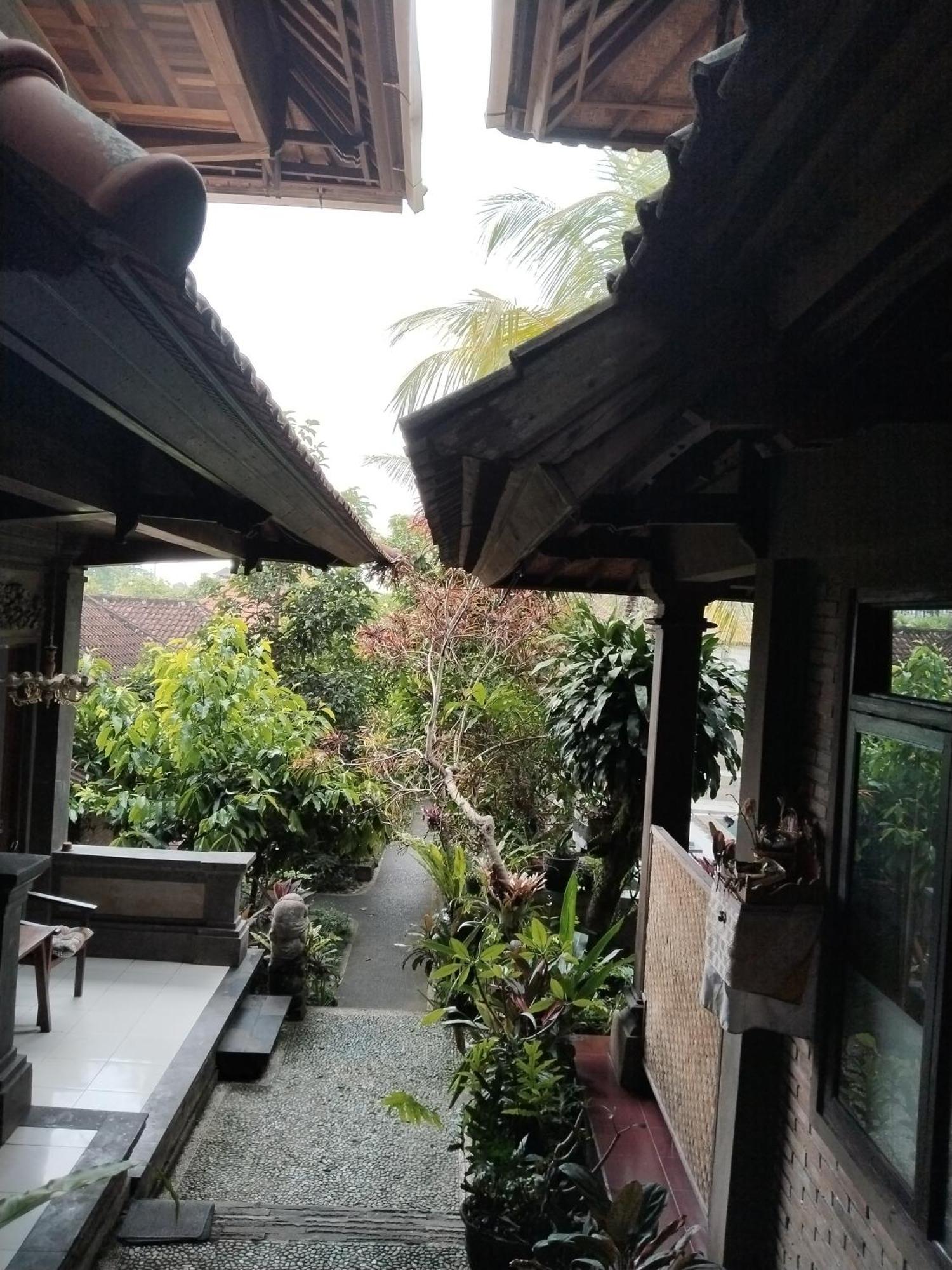 Dewa Ubud (Bali)